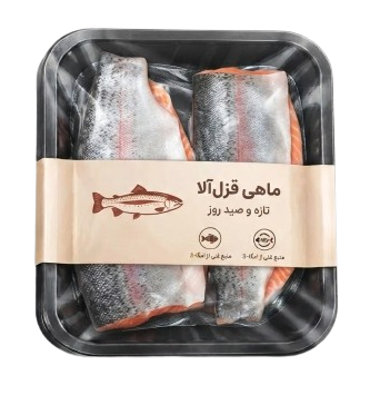 امروز از چالوس رسیده
